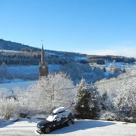 Gite A Avec Terrasse, Parking Privatif, Et A Proximite D'alsace Et Stations De Ski - Fr-1-589-275