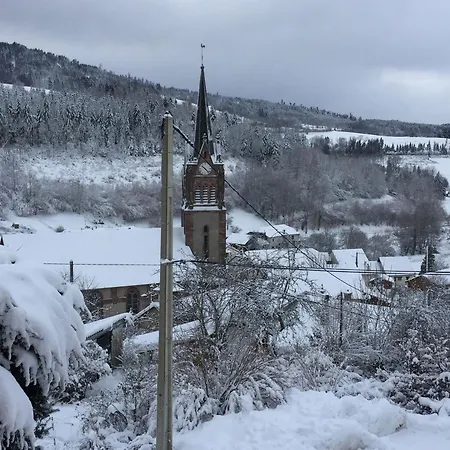 Ferienhaus Gite A Avec Terrasse, Parking Privatif, Et A Proximite D'alsace Et Stations De Ski - Fr-1-589-275